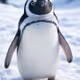 QQ