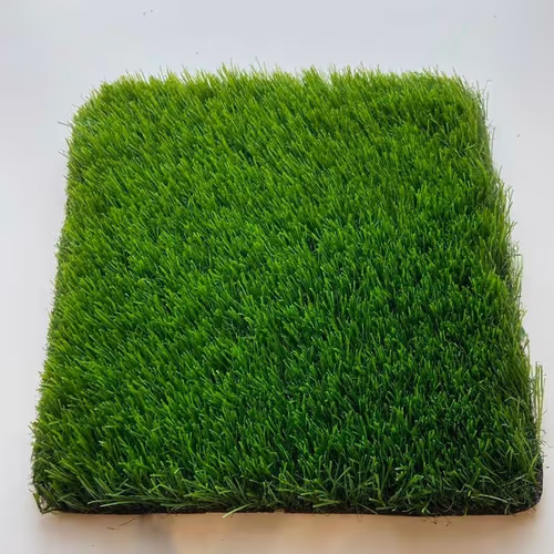 grass
