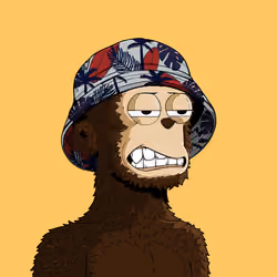 8293