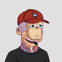 8561