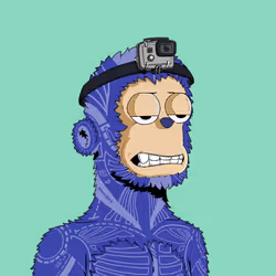 5244