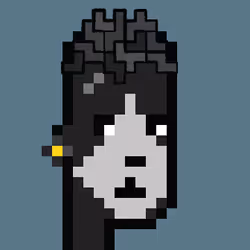 Punkism #873