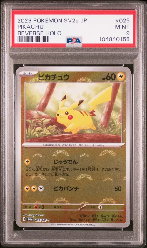 Item #583503 Media