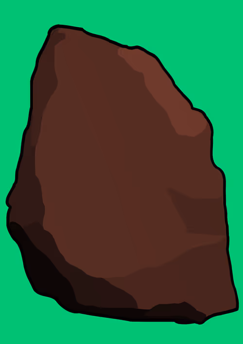 Item #31 Media