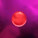 409
