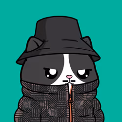Maxlon