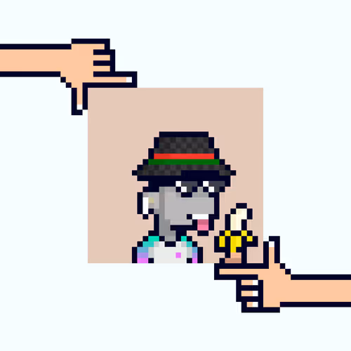 Item #41 Media