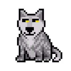 Wolf #9557