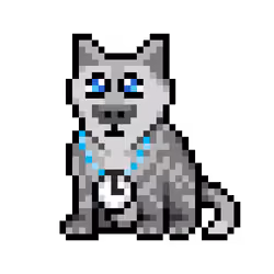 Wolf #1359