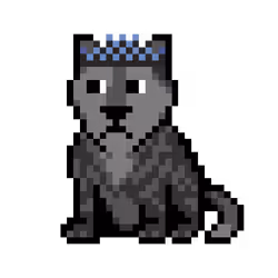 8535