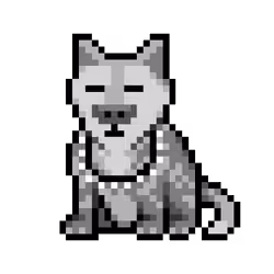 Wolf #11902
