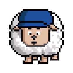Sheep #6049
