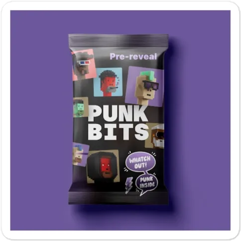 PUNK BITS