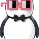 Pudgy Penguins x Nouns Collectible Pink