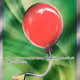Air Balloon SR - Mega Brave (Japanese)