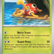 Shuckle - Obsidian Flames