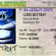 lord buttbat