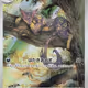 Liepard AR - White Flare (Japanese)