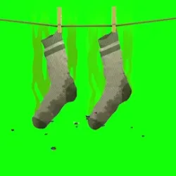 smelly socks #104