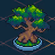 Bonsai Tree