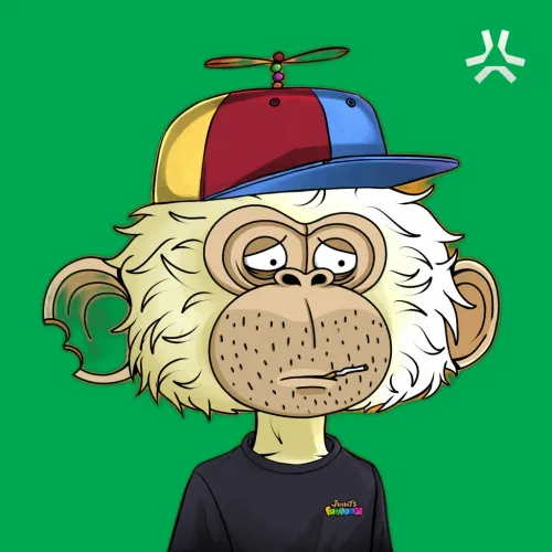 Item #909 Media