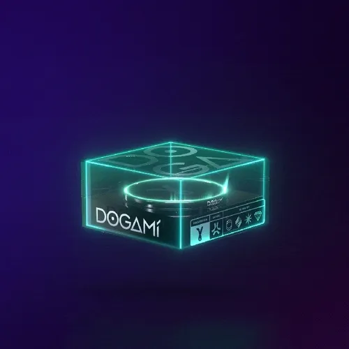 DOGAMI #19979