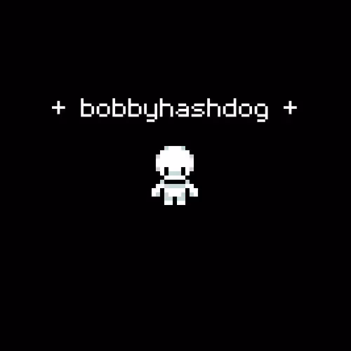 bobbyhashdog