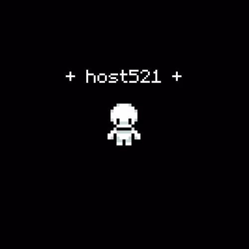 host521