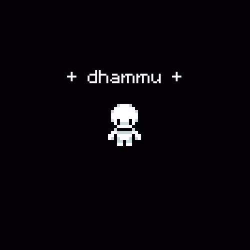 dhammu