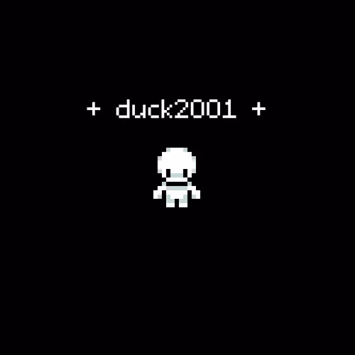 duck2001