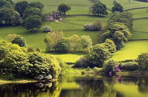 Item #21208233560098505086624456601590558705739305330080501565437459429807683010561 Media