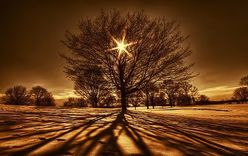 Item #50002596670809159331360099585196132392461028406082693157896371806093038321665 Media