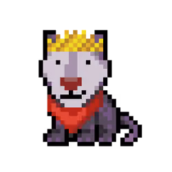 Wolf #23997