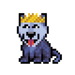 Wolf #24581