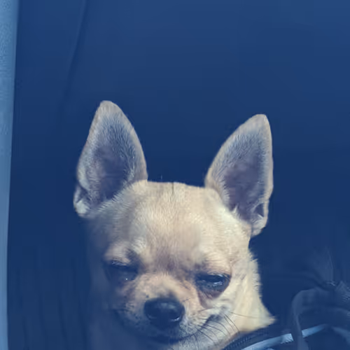 Twilight KremlinTwilight Kremlin