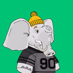 Ellies #2385