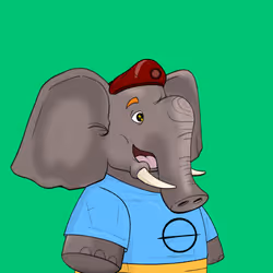 Ellies #1036