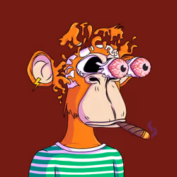 Bang Apes #517