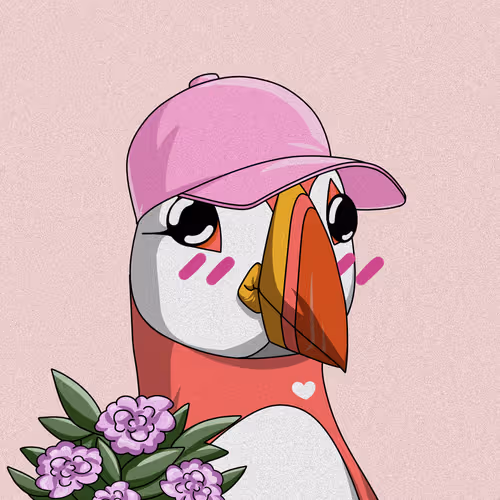 Puffin #8