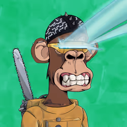 729