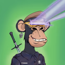 204