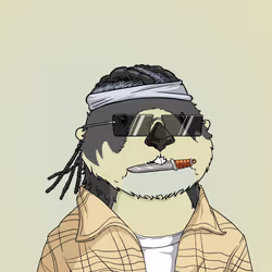 204
