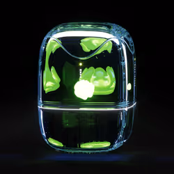 Capsule_9