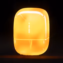 Capsule_20
