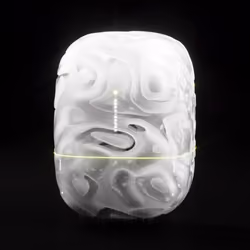 Capsule_26