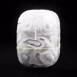 Capsule_26