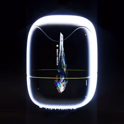 Capsule_14