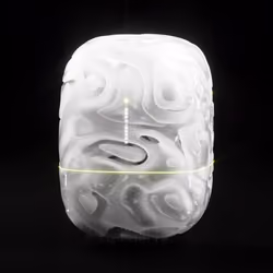 Capsule_26