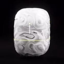 Capsule_26