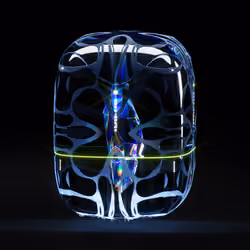 Capsule_17
